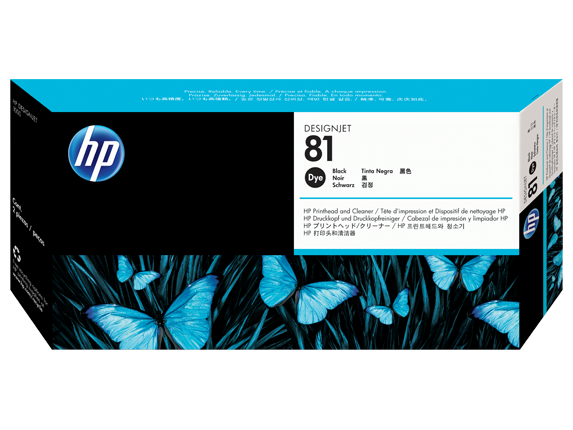 HP 81 Printhead and Cleaner