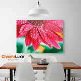 Chromaluxe - Customize it!