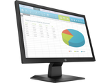 HP P204 19.5-inch Monitor
